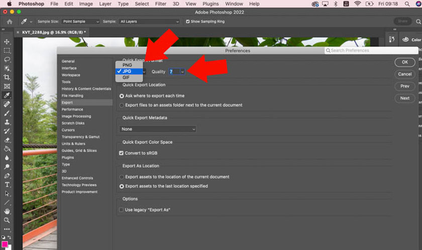 Select the image format you want to export in Quick Export