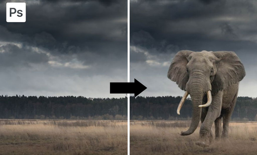 combine 2 photos in Photoshop