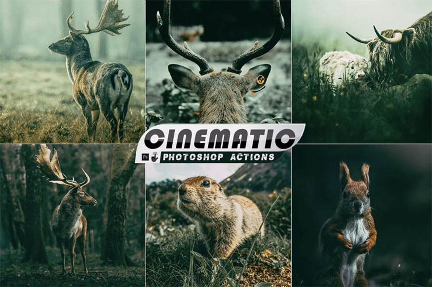 28 Realistic and Film Depicting Effects