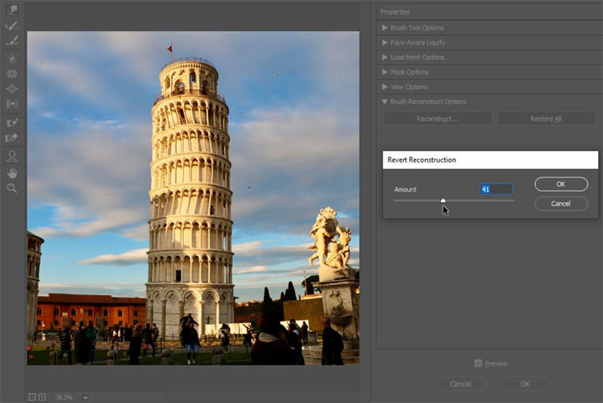 Brush Reconstruct Options