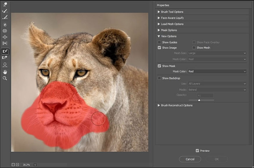 use Freeze Mask Tool