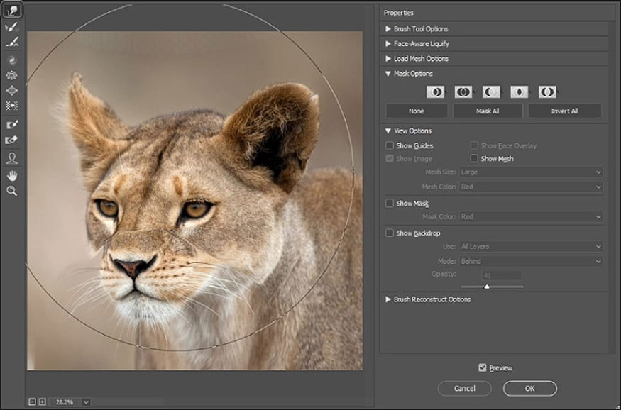 Using the Forward Warp Tool