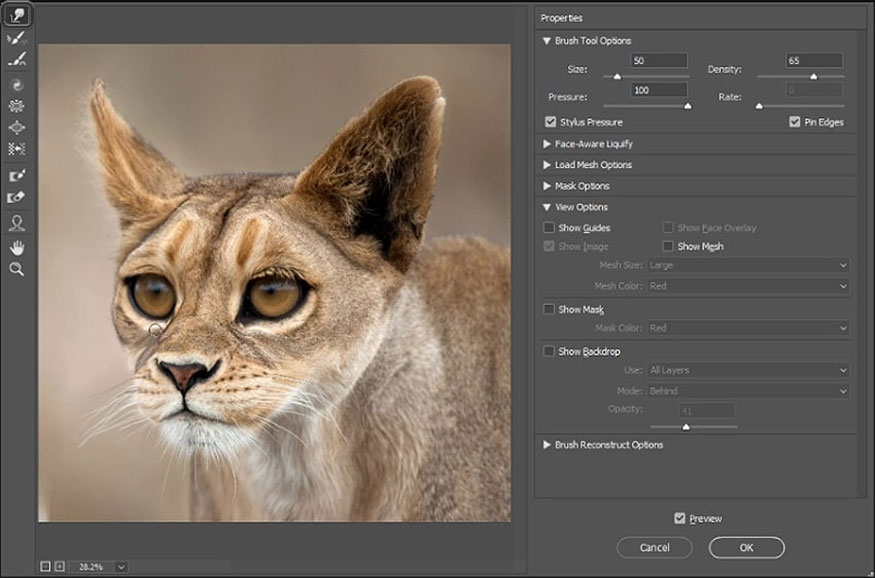 use the Forward Warp Tool