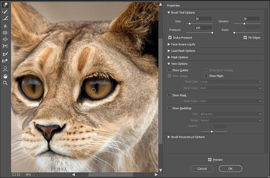 use the Forward Warp Tool