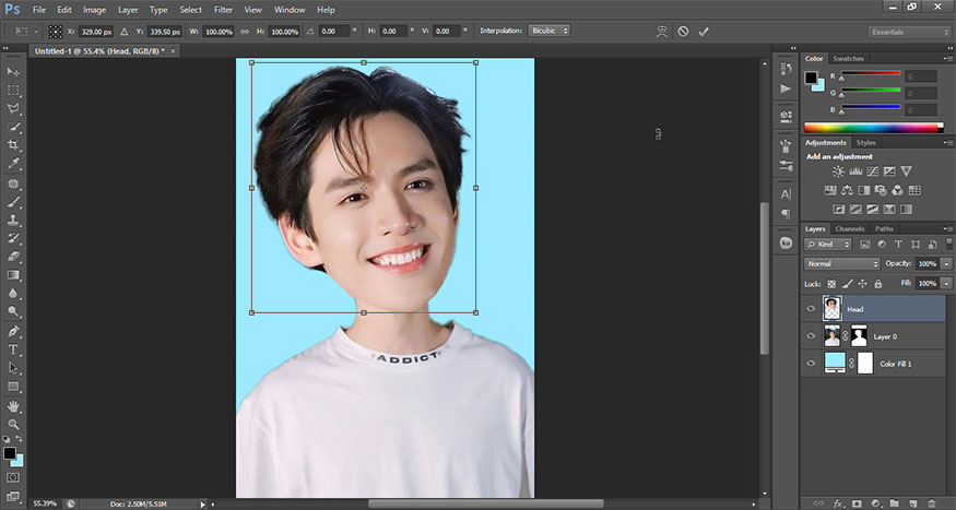 Select the Move Tool then press Ctrl+T
